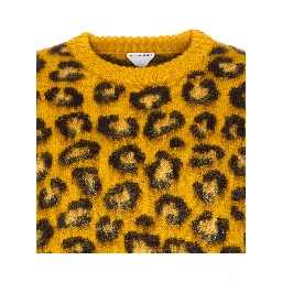 Bottega Veneta Sweaters