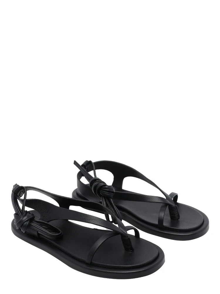 POEVE  Black alternative