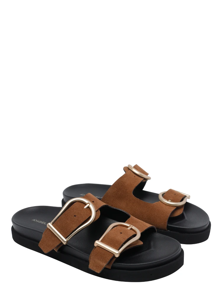 ANGEL ALARCON alternative