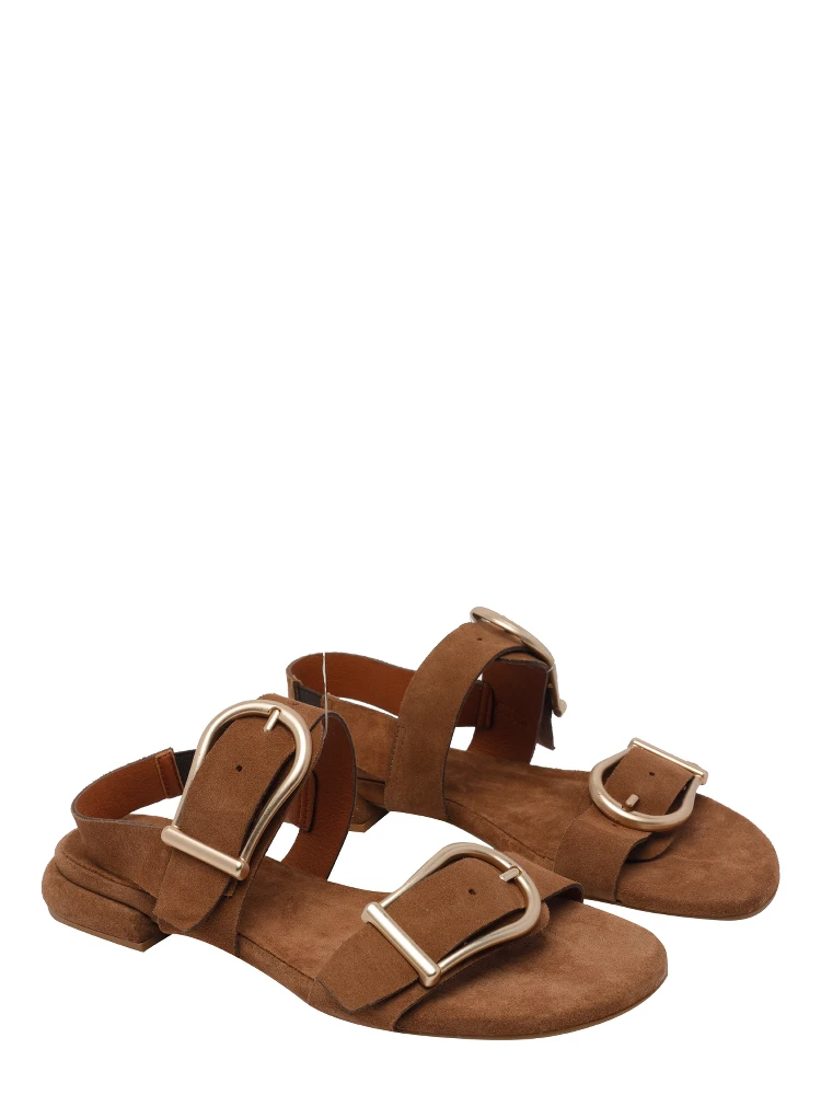 ANGEL ALARCON alternative