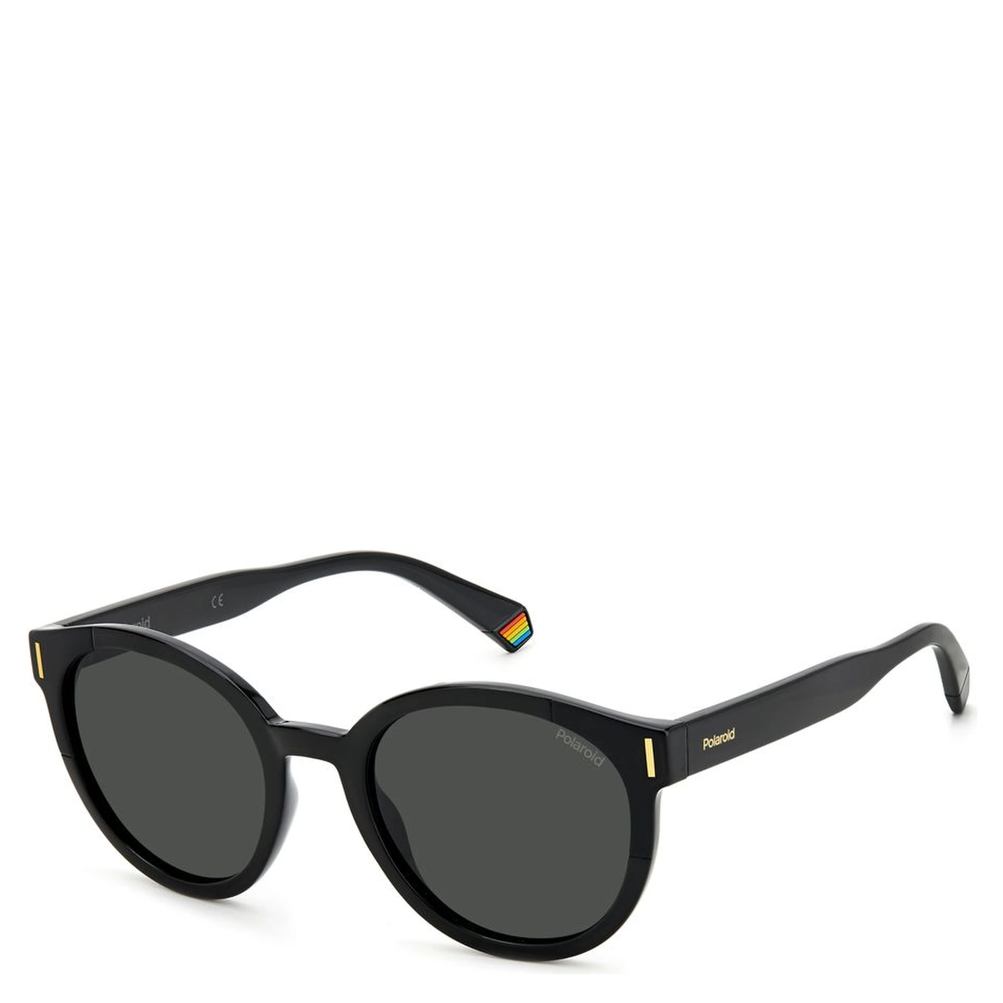 Black Resin Sunglasses