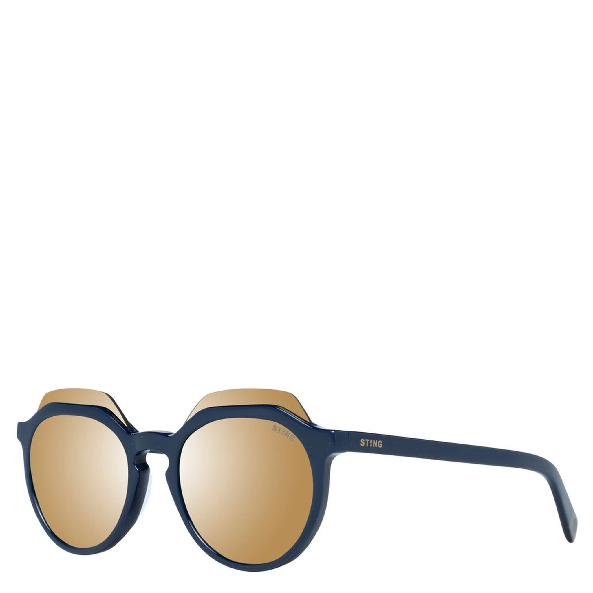 Blue Plastic Sunglasses