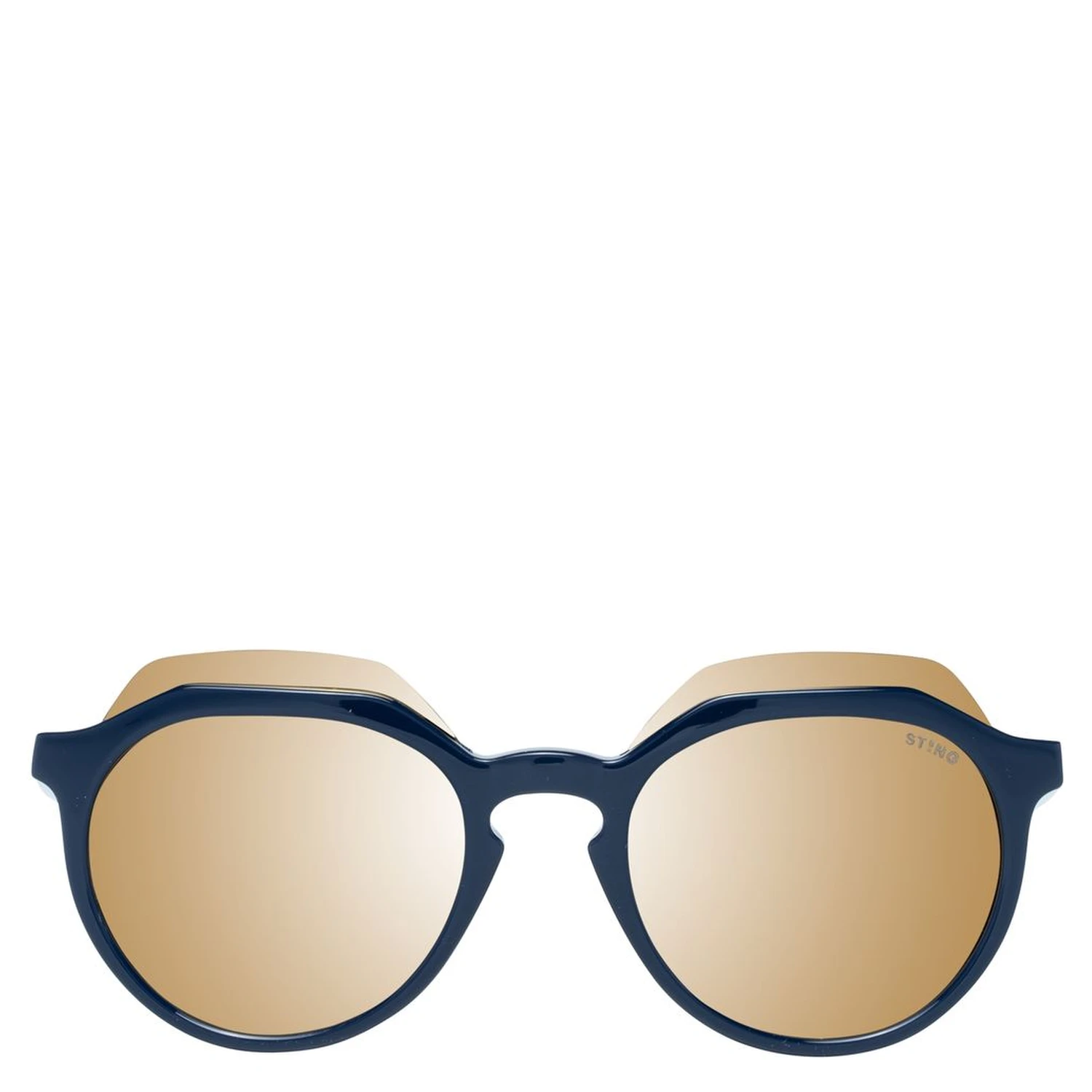 Blue Plastic Sunglasses