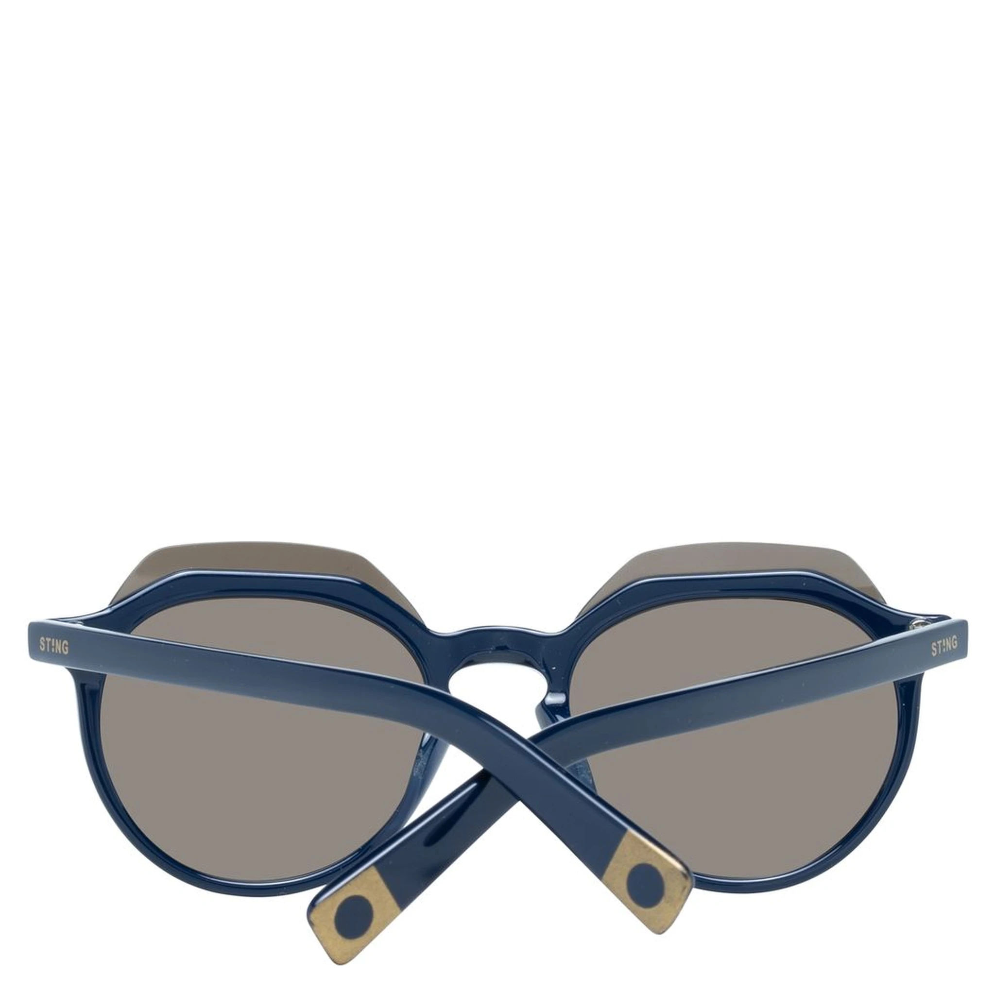 Blue Plastic Sunglasses