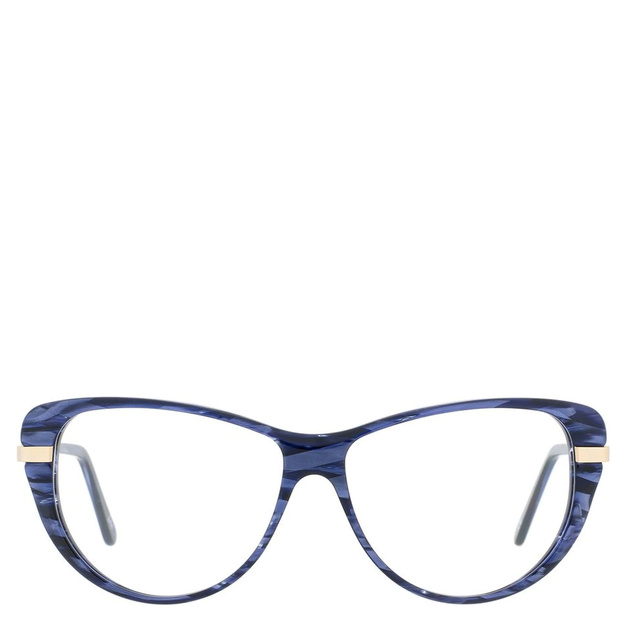 Blue Metal & Plastic Glasses (Frames)