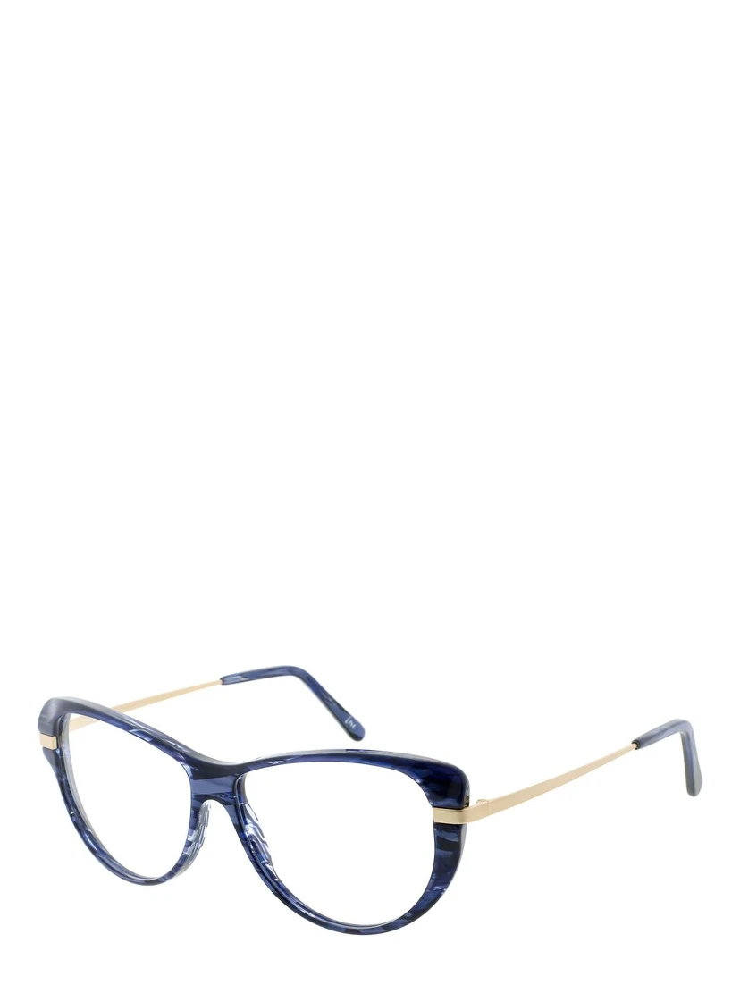 Blue Metal & Plastic Glasses (Frames)
