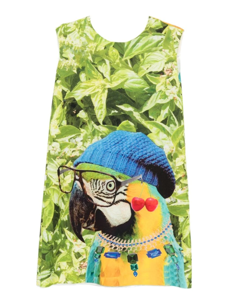 THE ARTISTYLIST Dresses