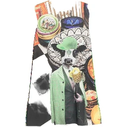 THE ARTISTYLIST Dresses