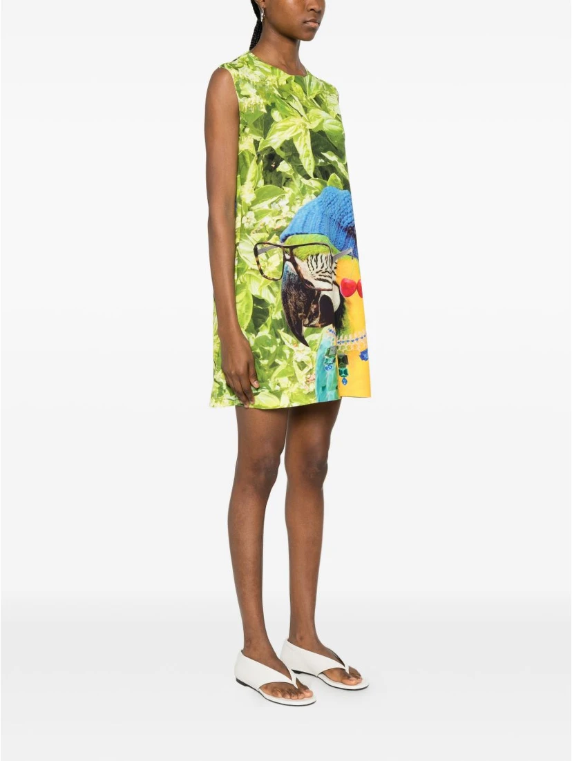 THE ARTISTYLIST Dresses