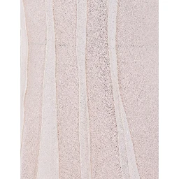 Elisabetta Franchi Dresses