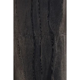 Black Lamb Ovis Aries Aries Midi Skirt