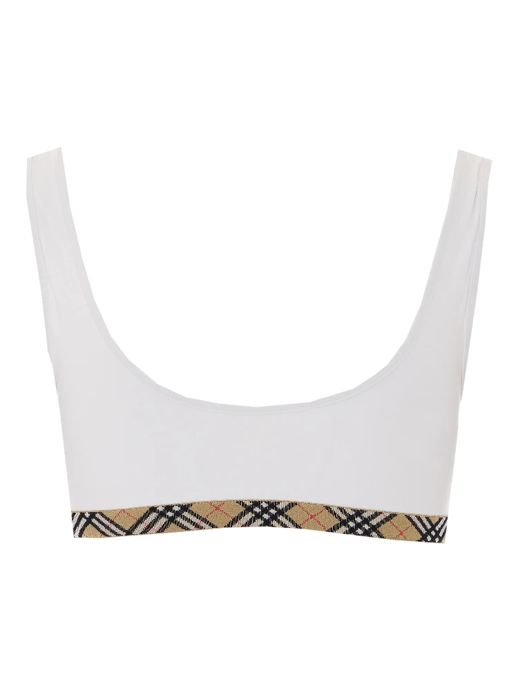 بربري alternative