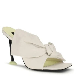 White Lamb Ovis Aries Aries Mules