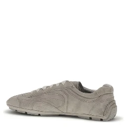 Beige Lamb Ovis Aries Aries Athletic Sneakers