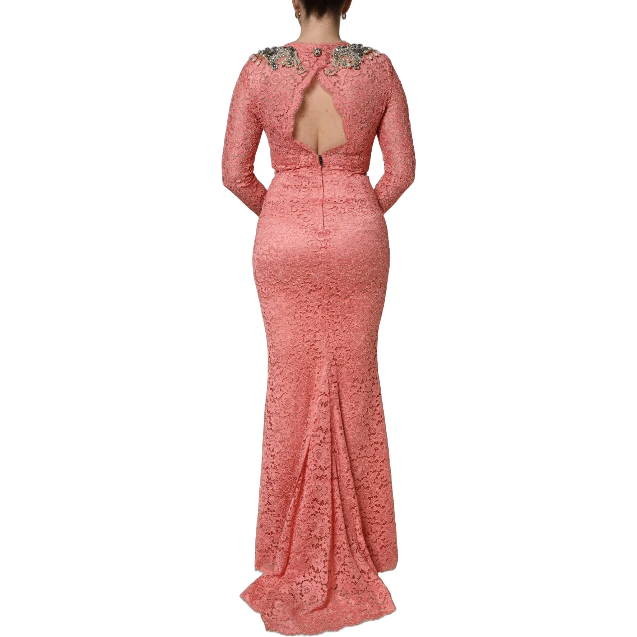 Pink Embellished Mermaid Lace Gown Dress