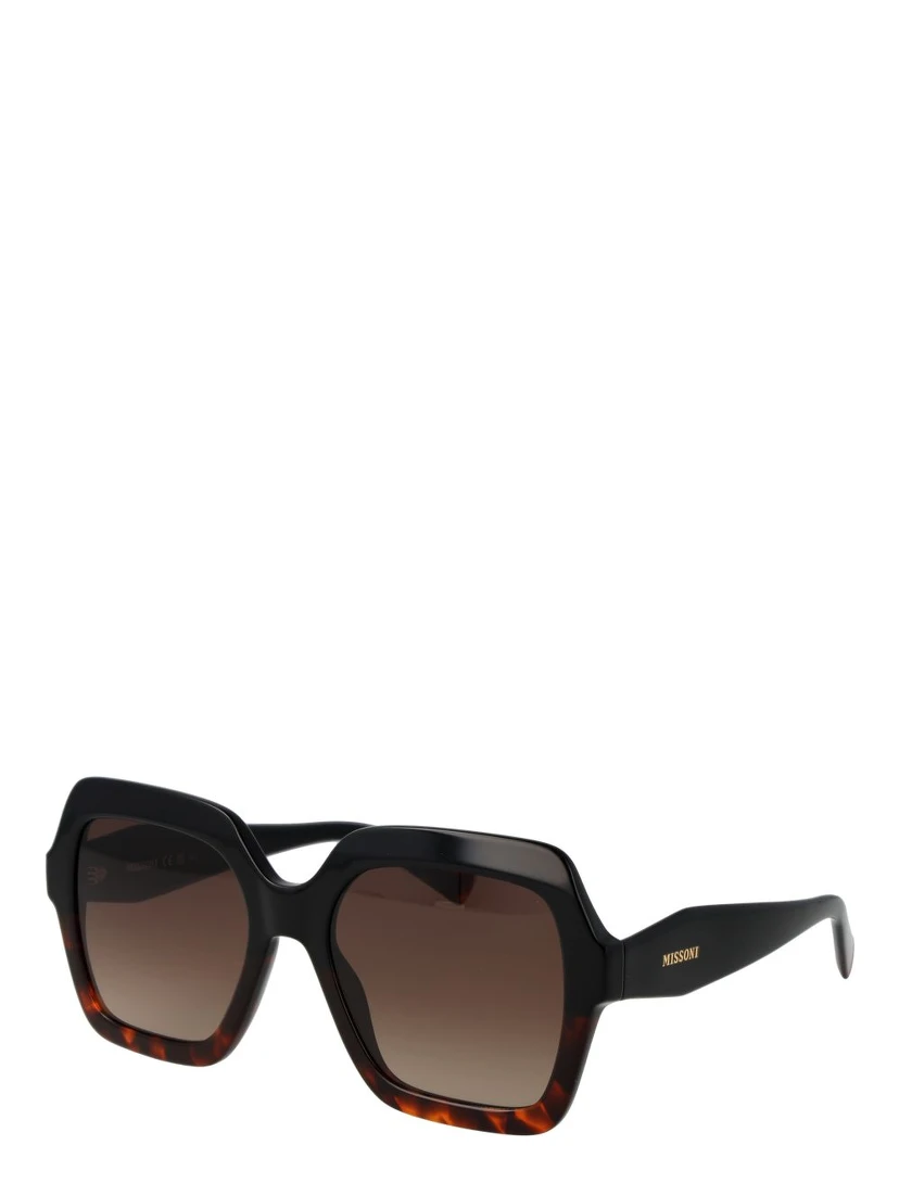 Black Acetate Sunglasses