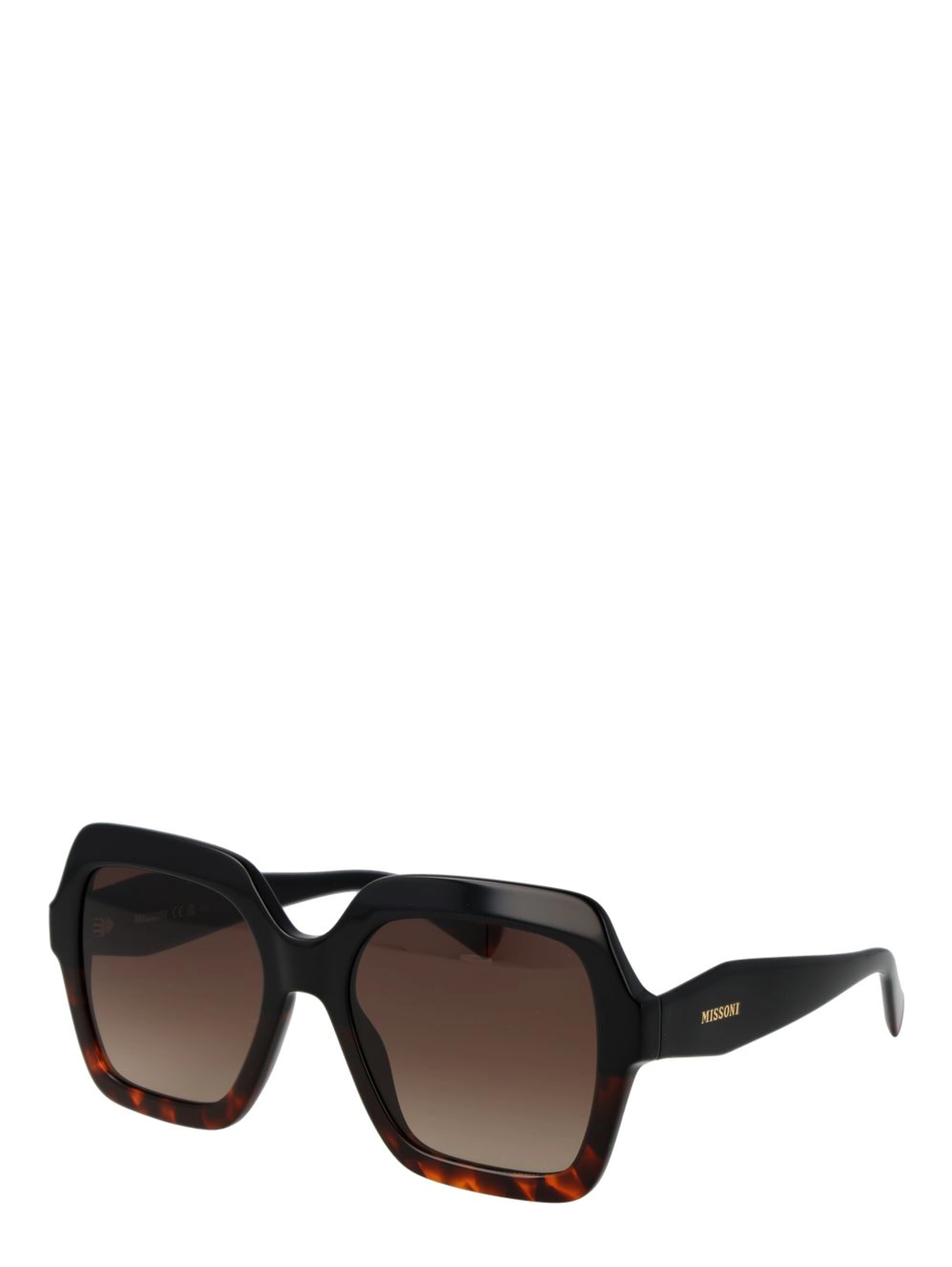 Black Acetate Sunglasses