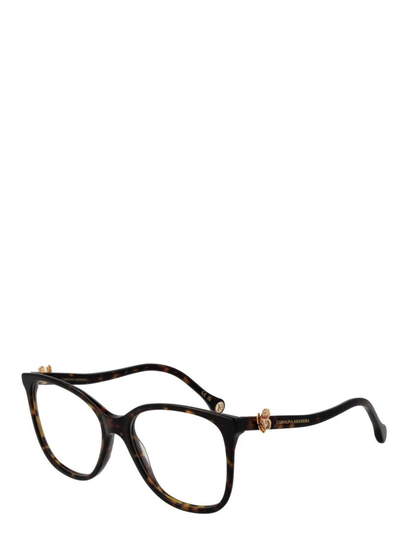 Brown Acetate Glasses (Frames)