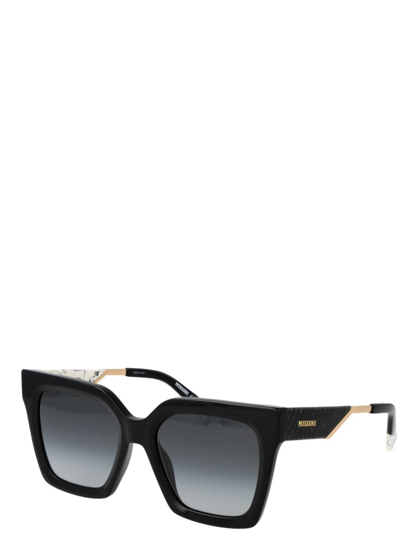 Black Acetate Sunglasses