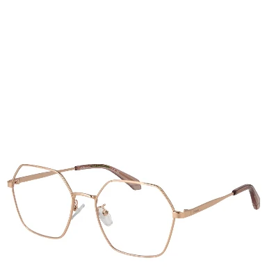 Rose Gold Metal Glasses (Frames)