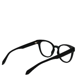 Black Polyamide Glasses (Frames)