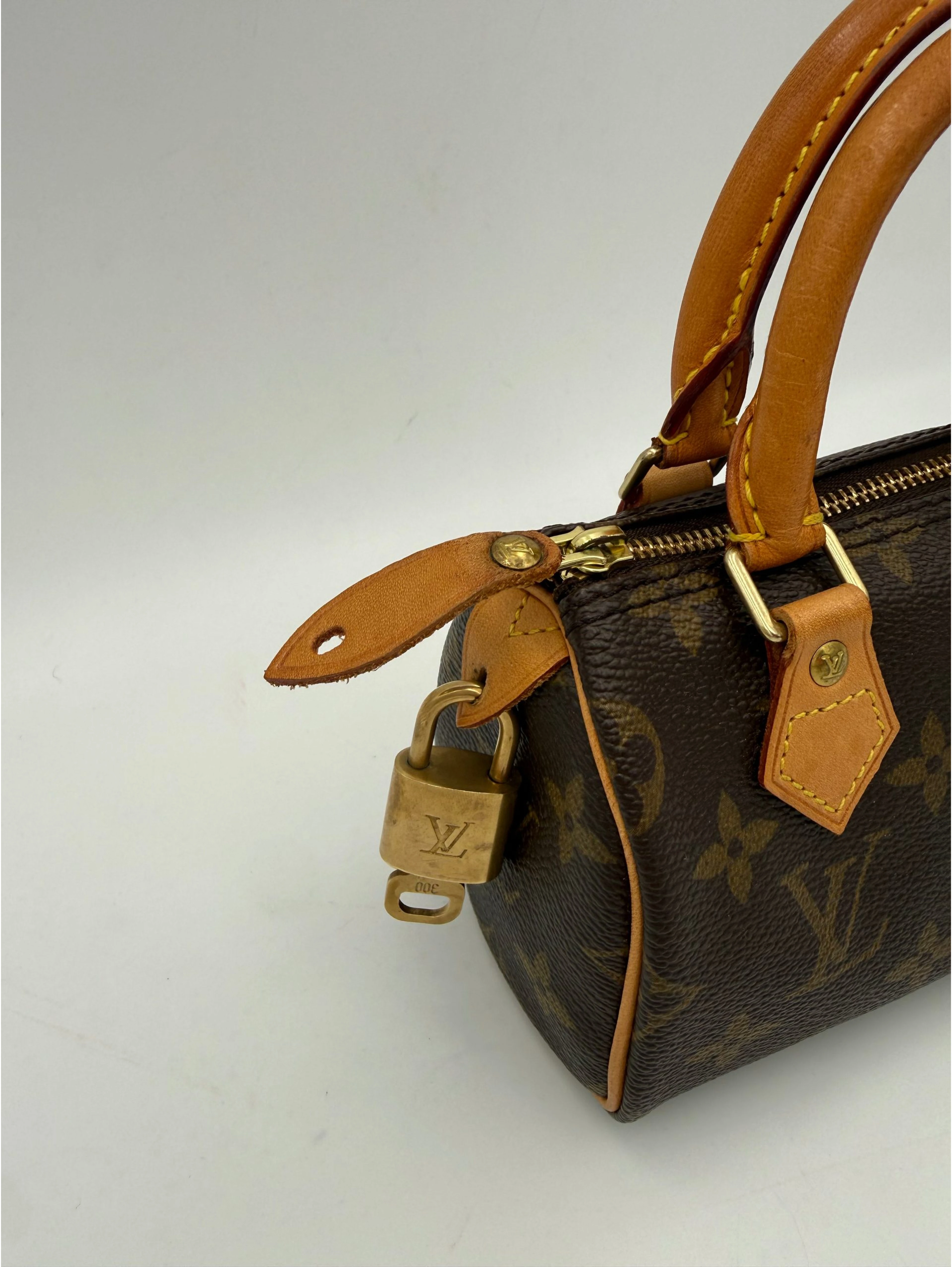 LOUIS VUITTON Nano Speedy Monogram Handbag