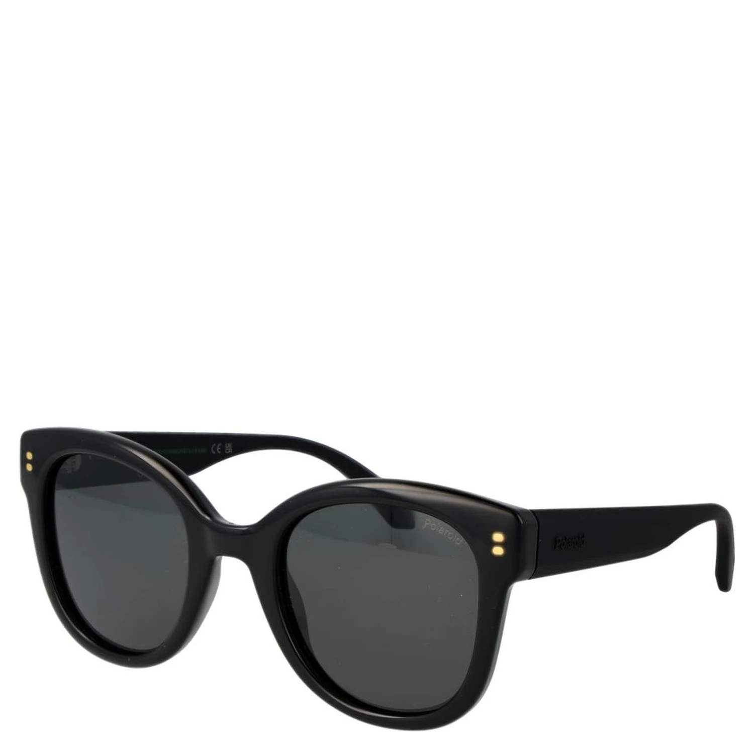 Black Polycarbonate Sunglasses