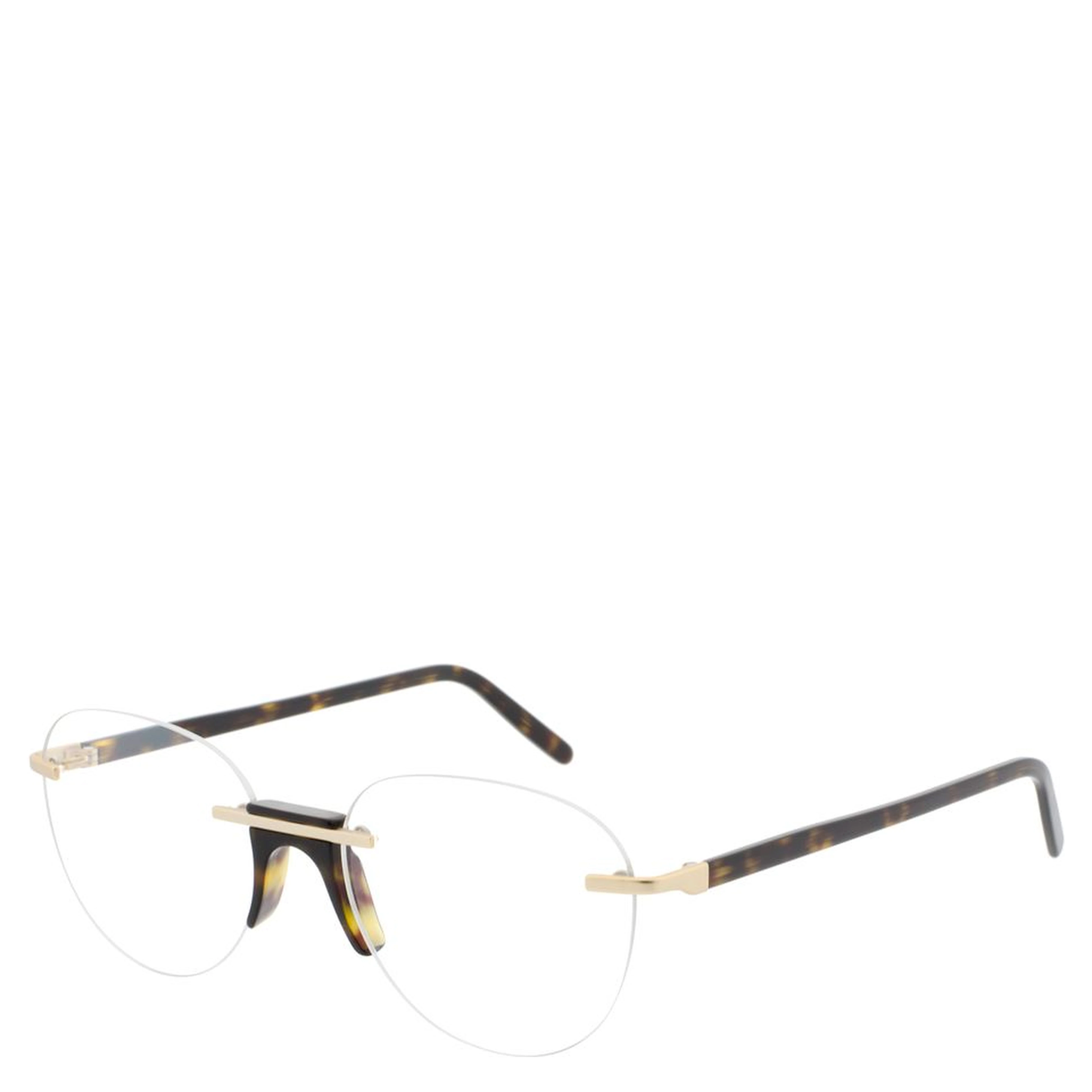 Multicolor Acetate & Metal Glasses (Frames)