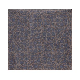 LOEWE PAULA'S IBIZA Scarfs Blue/brown