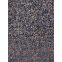 LOEWE PAULA'S IBIZA Scarfs Blue/brown