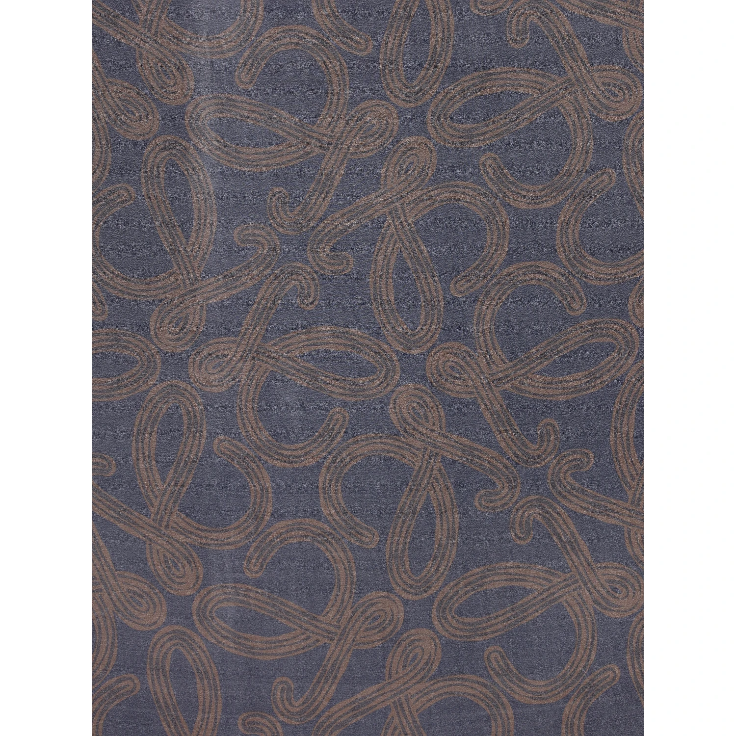 LOEWE PAULA'S IBIZA Scarfs Blue/brown