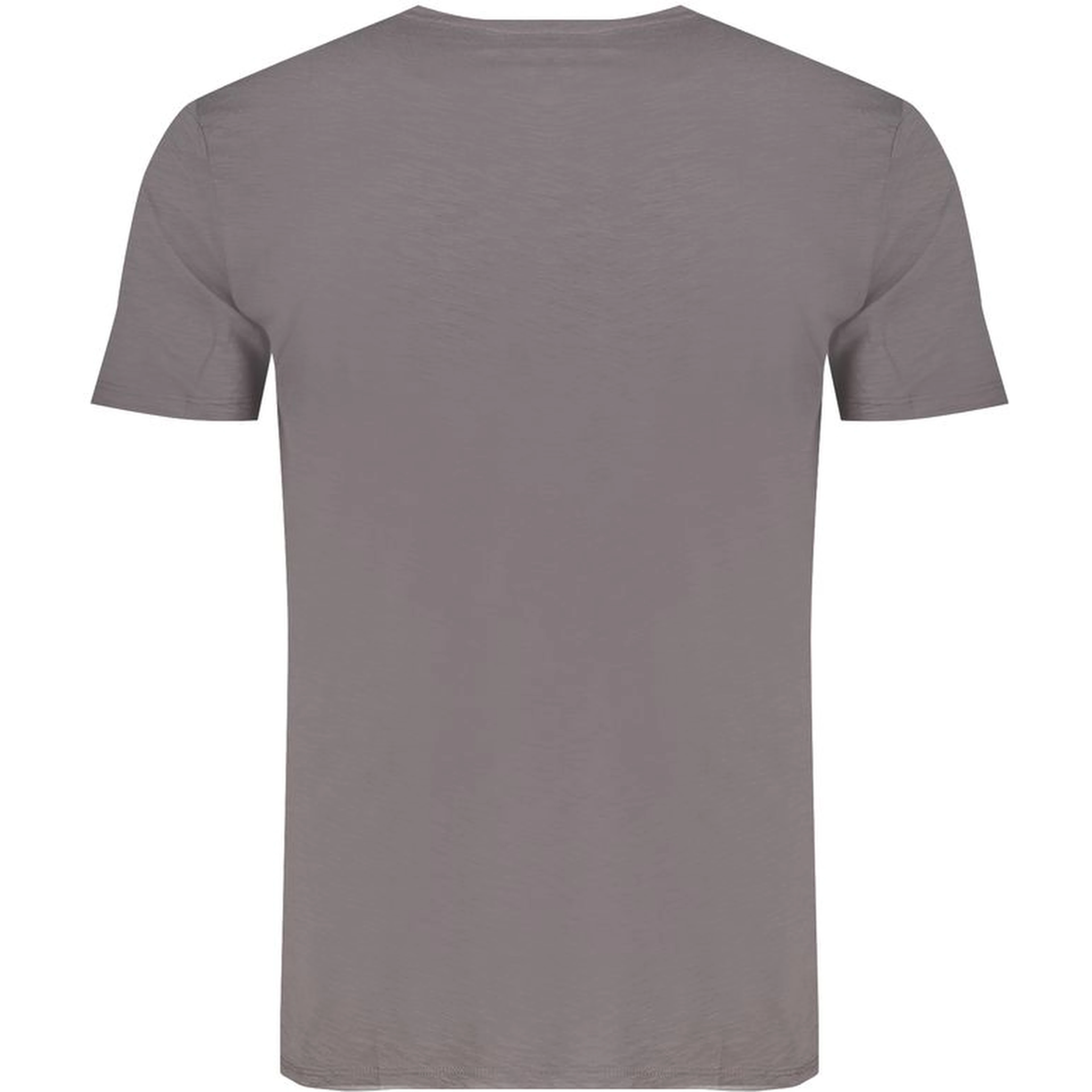 Gray Cotton Mens T-Shirt