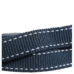 Blue Cotton Canvas DG Logo Metal Buckle Belt