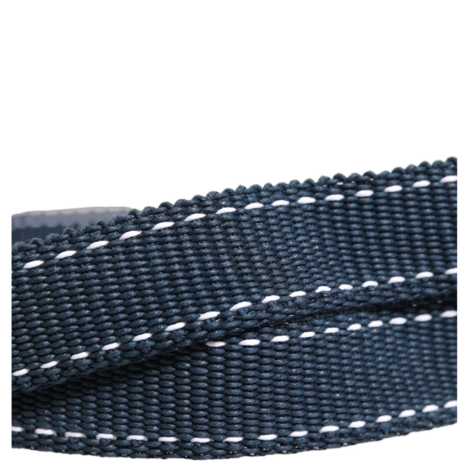 Blue Cotton Canvas DG Logo Metal Buckle Belt