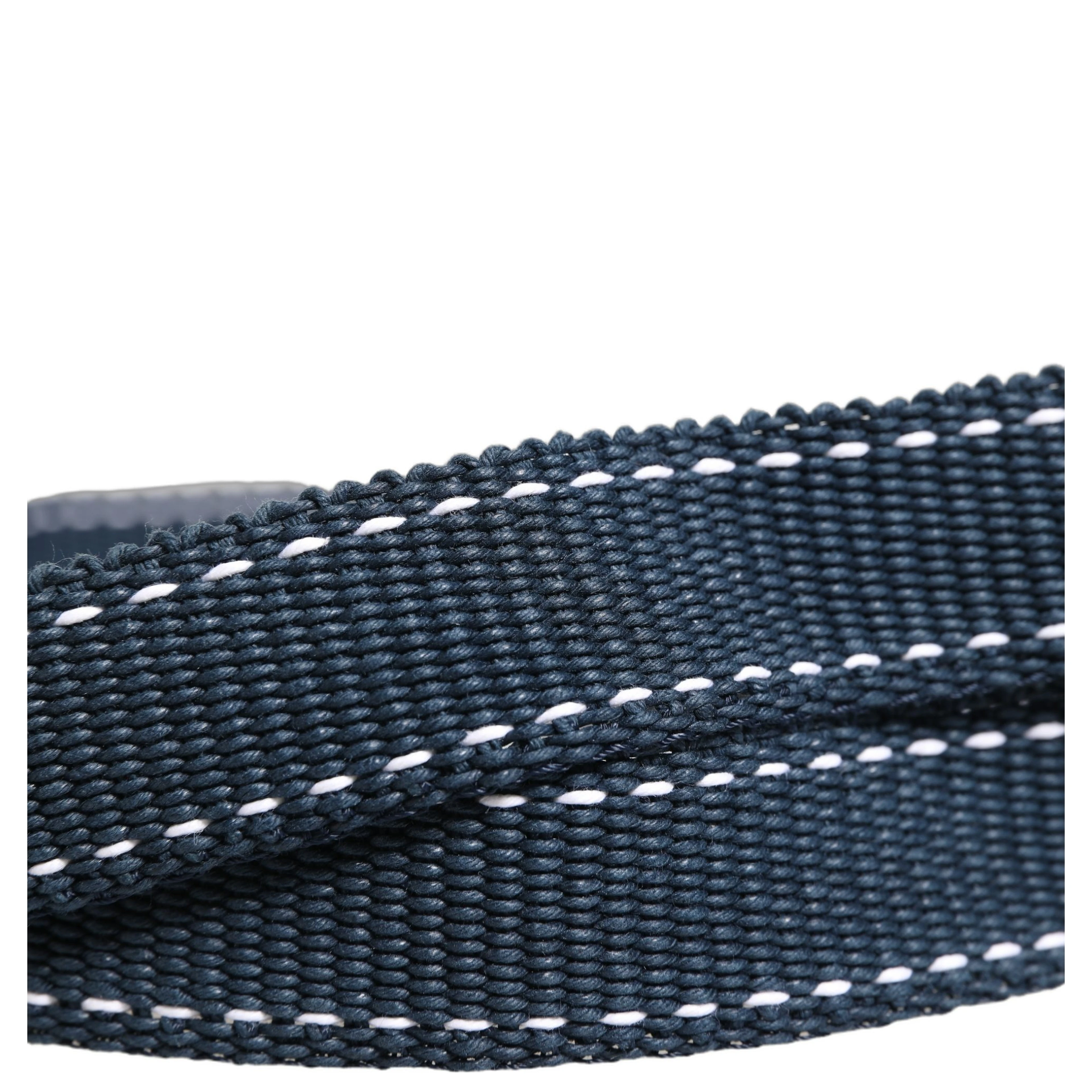 Blue Cotton Canvas DG Logo Metal Buckle Belt