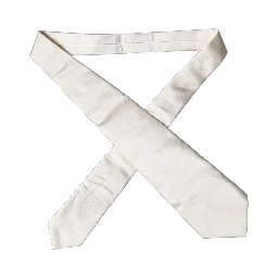 Off White Solid Silk Adjustable Women Tied Necktie Tie