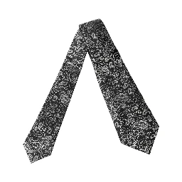 Black White Paisley Silk Adjustable Women Necktie Tie