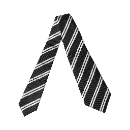 Black White Stripes Silk Adjustable Women Necktie Tie