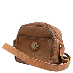 Brown and Gold Crossbody Bag