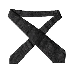 Black Paisley Woven Silk Adjustable Women Necktie Tie