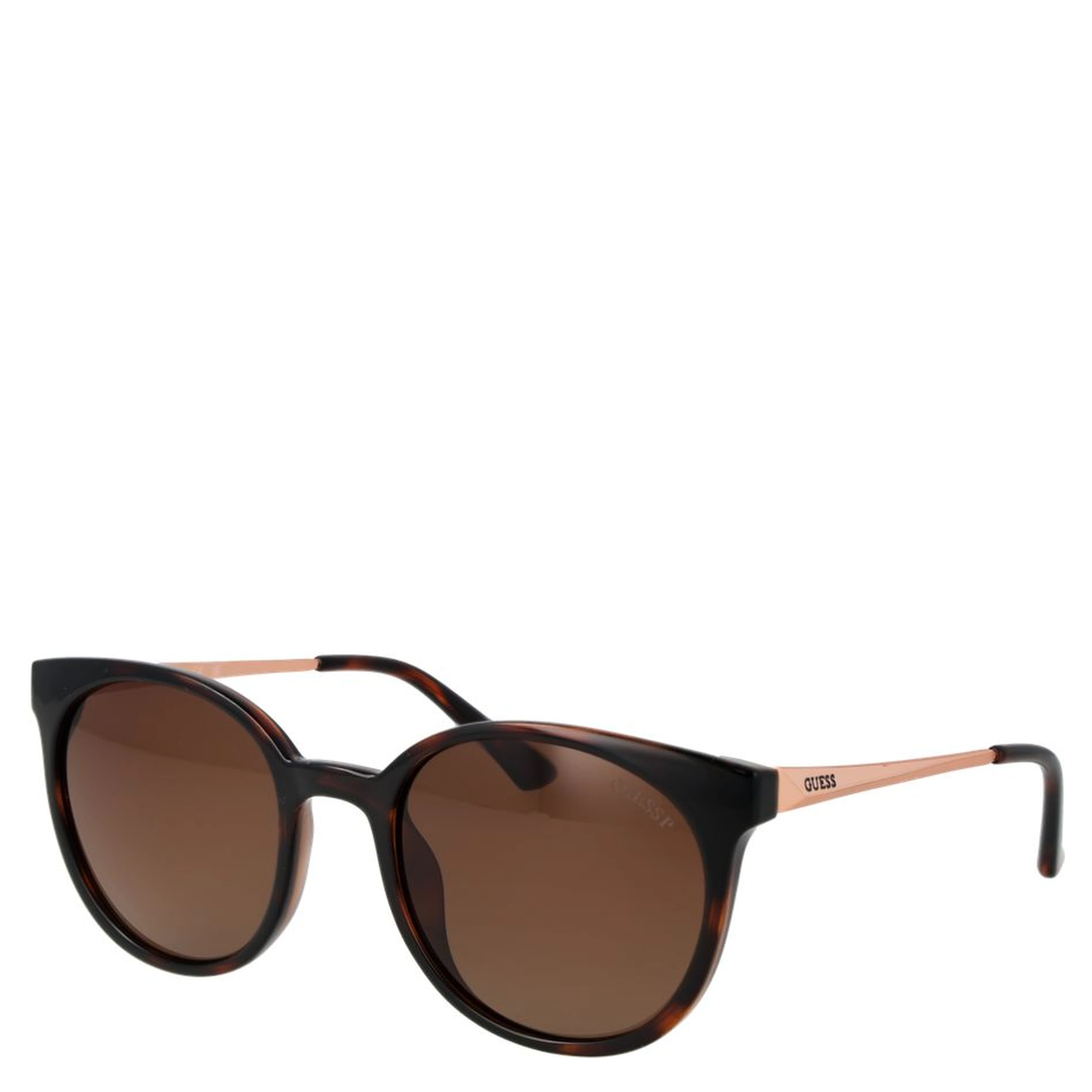 Brown Plastic Sunglasses