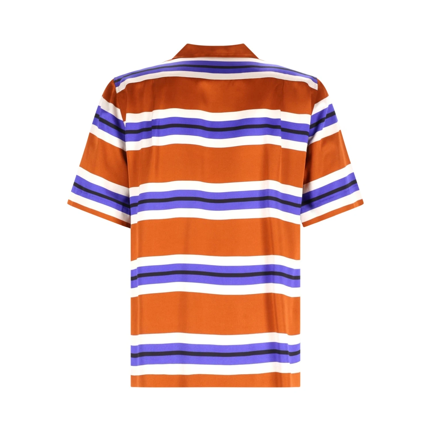 CAMICIA "CARLTONE"