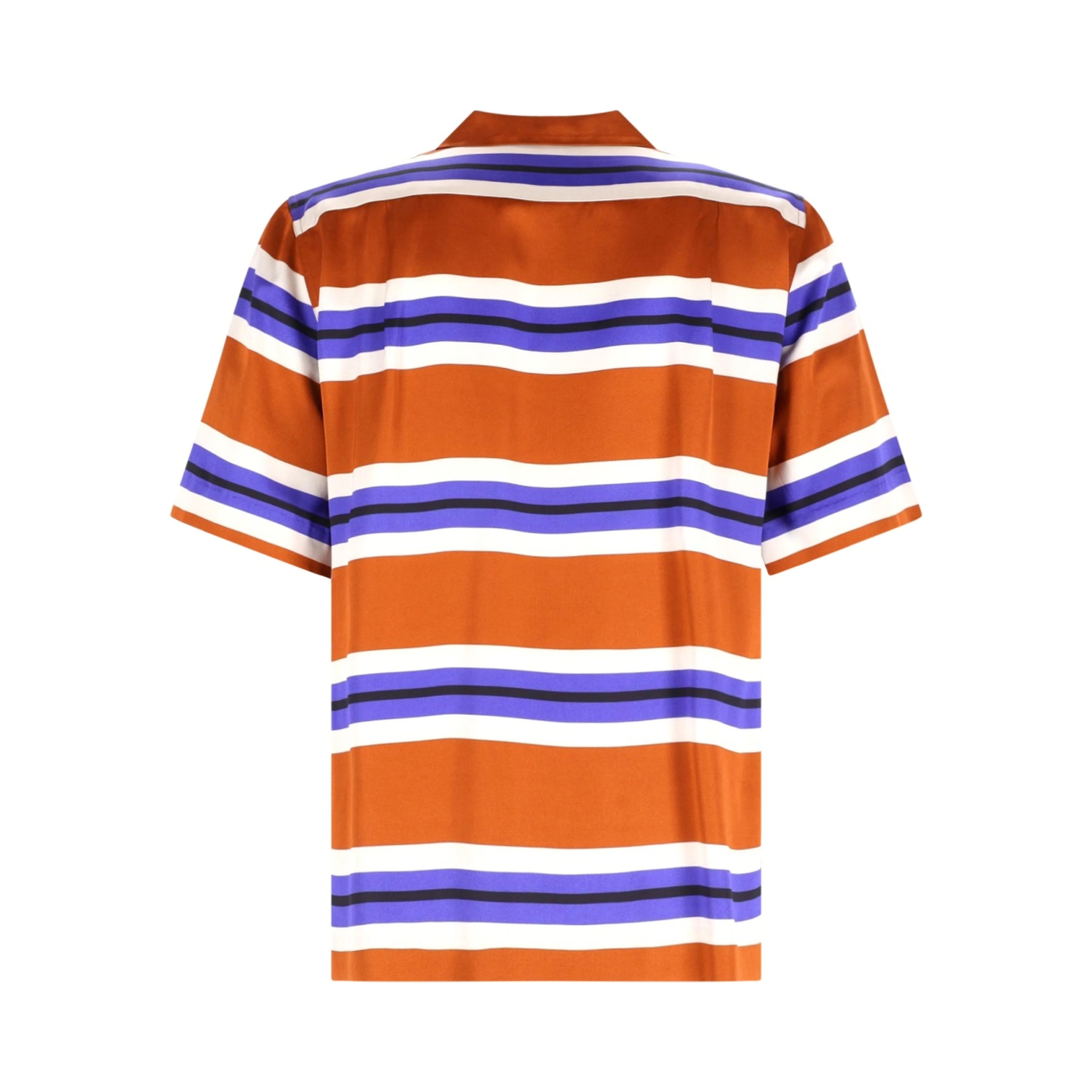 CAMICIA "CARLTONE"
