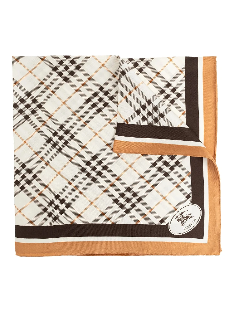 Burberry Scarfs