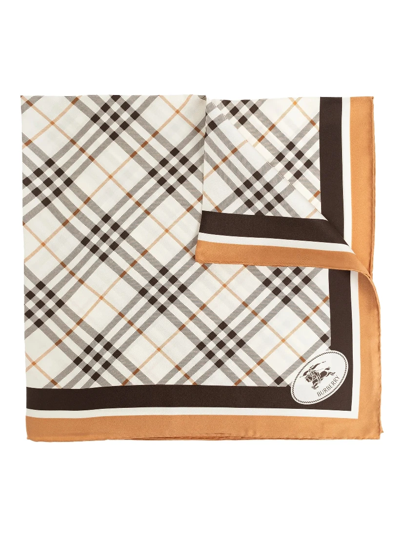 Burberry Scarfs