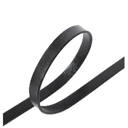Pinko Belts