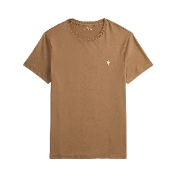 Polo Ralph Lauren T-shirts and Polos Brown