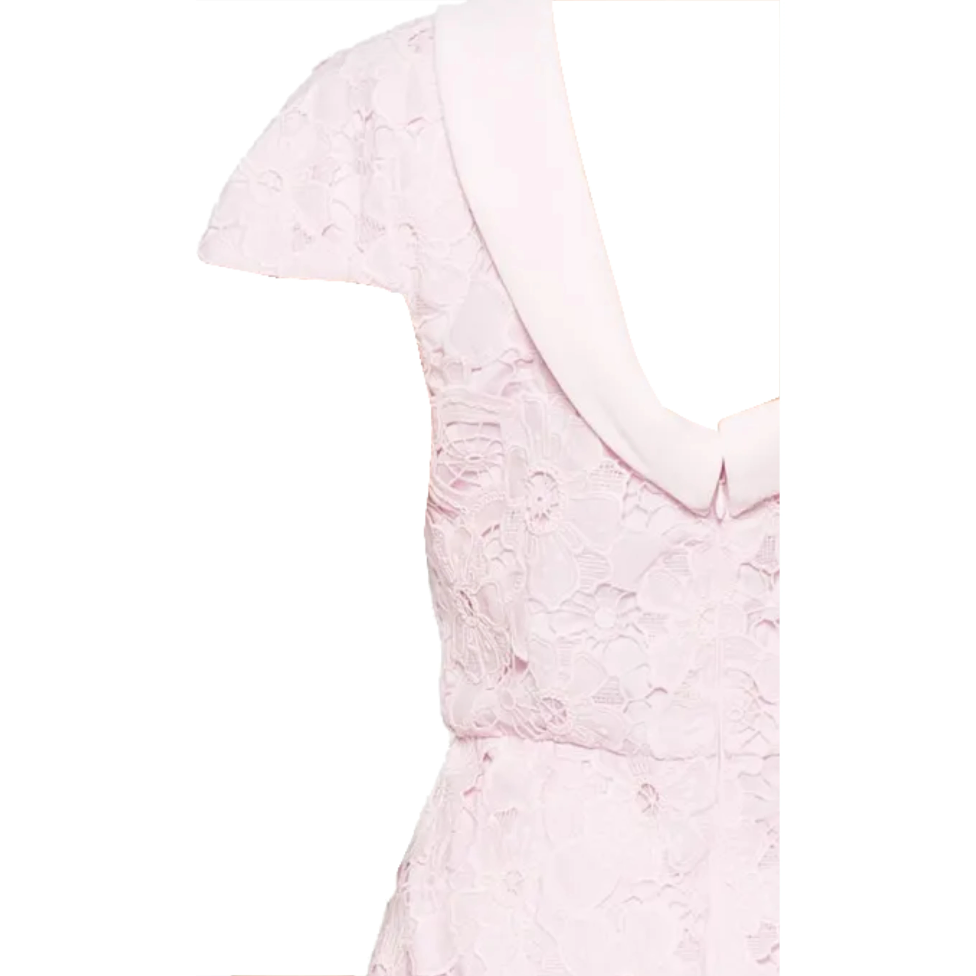 Self-portrait Dresses