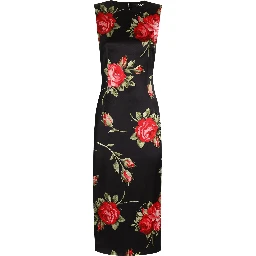 Dolce & Gabbana Dresses