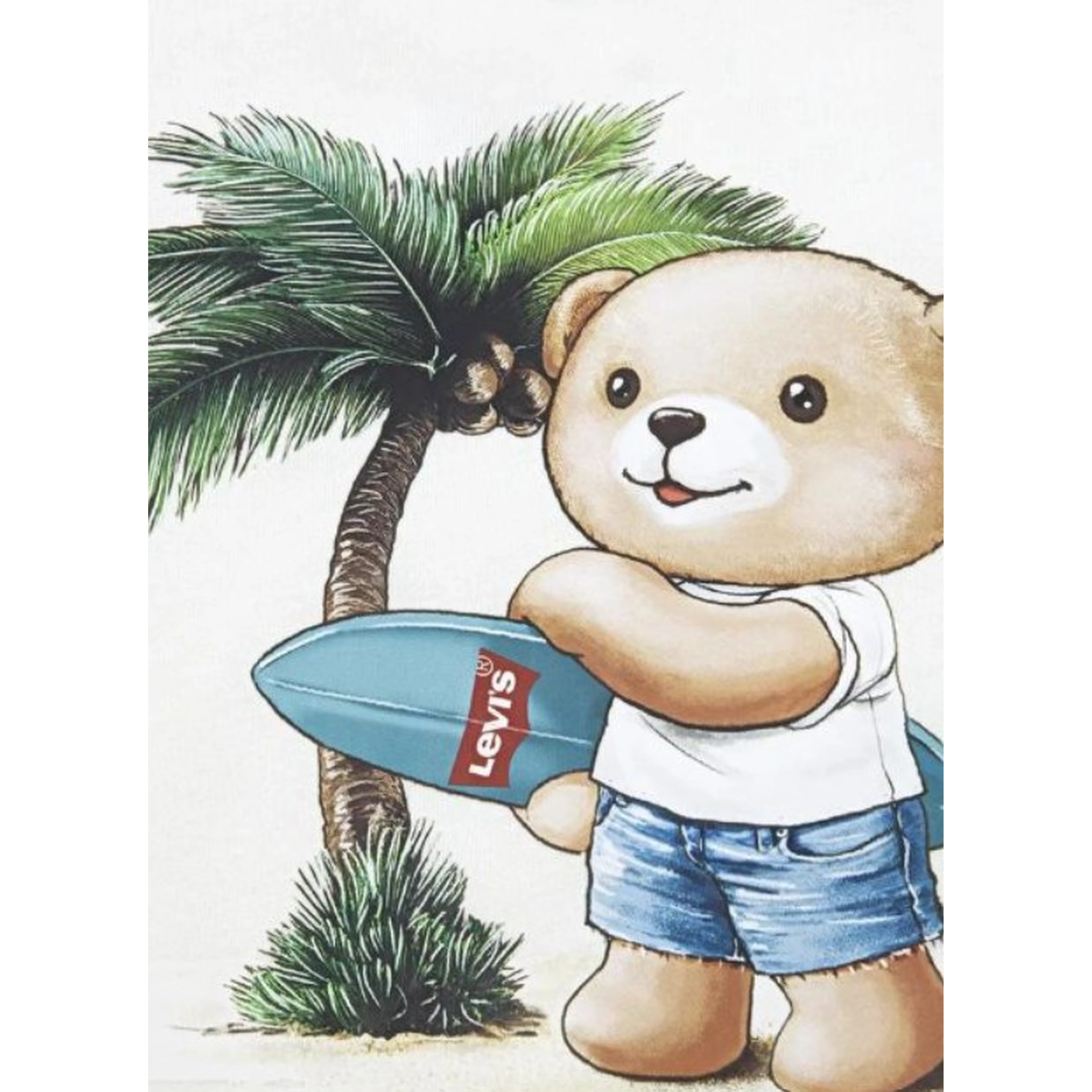 Levi's Accessories